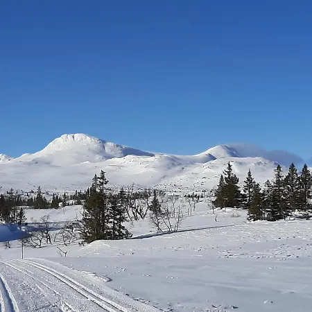Gamlestugu Greivjord Fjellgard Tuddal