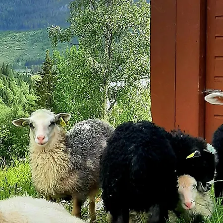 Дом отдыха Gamlestugu Greivjord Fjellgard