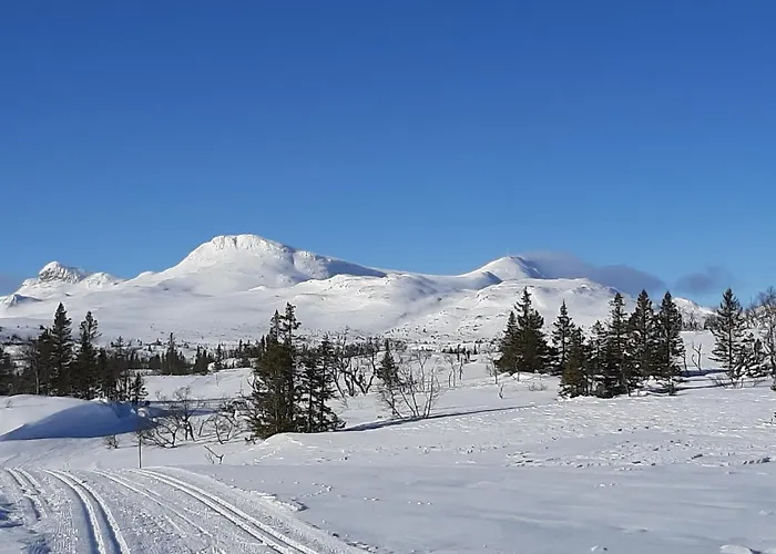 Gamlestugu Greivjord Fjellgard Tuddal